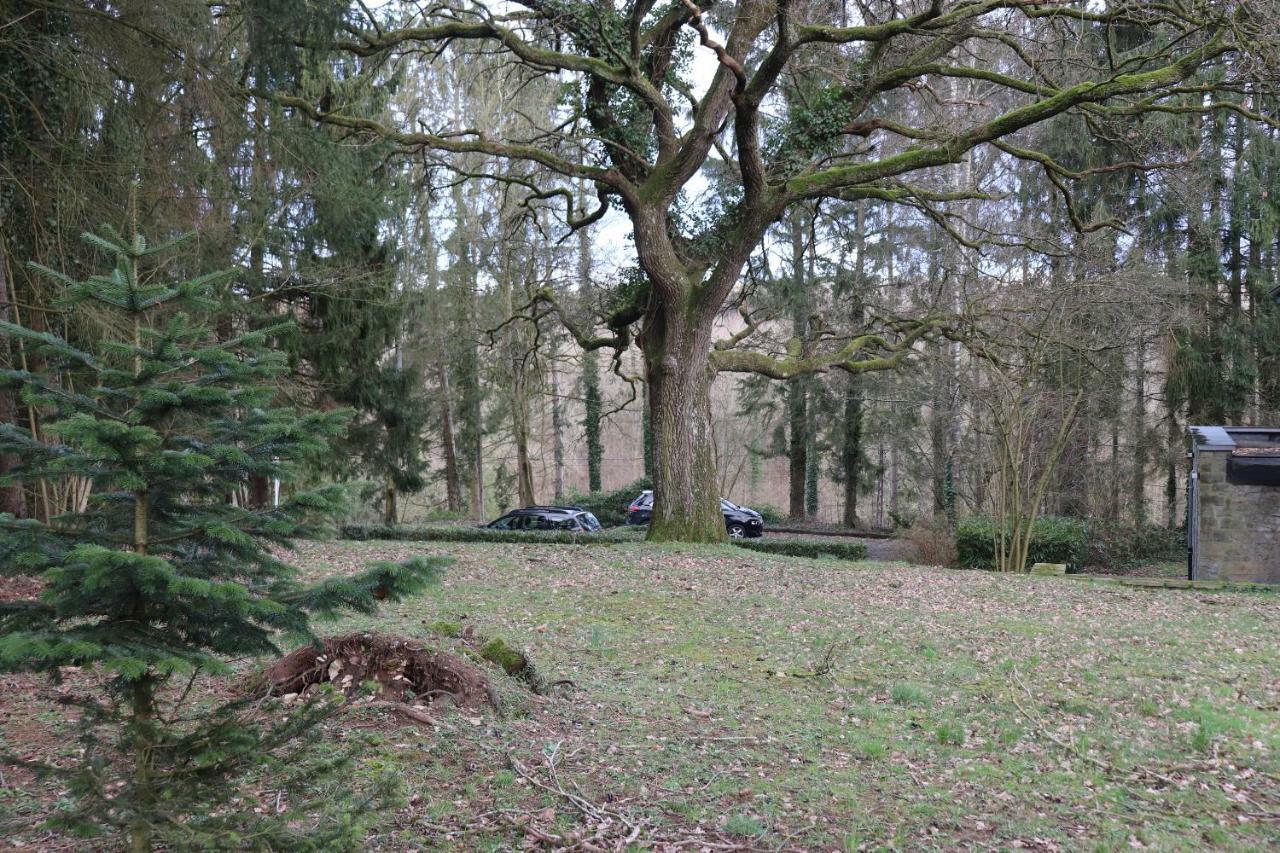 Le Portail Des Ardennes Villa Nassogne Exterior foto